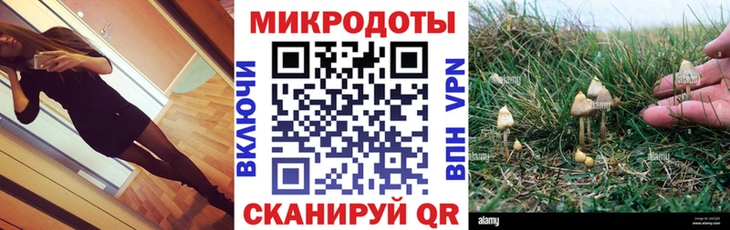 Псилоцибиновые грибы ЛСД  купить закладку  Кореновск 